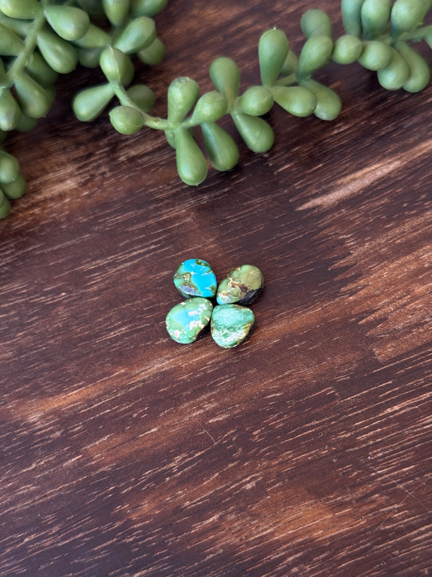 Sonoran Mountain Turquoise Cabs