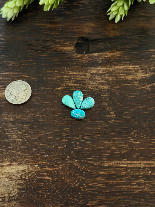 White Water Turquoise Cabs