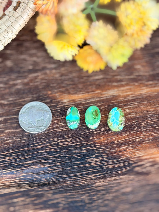 Sonoran Mountain Turquoise Cabs