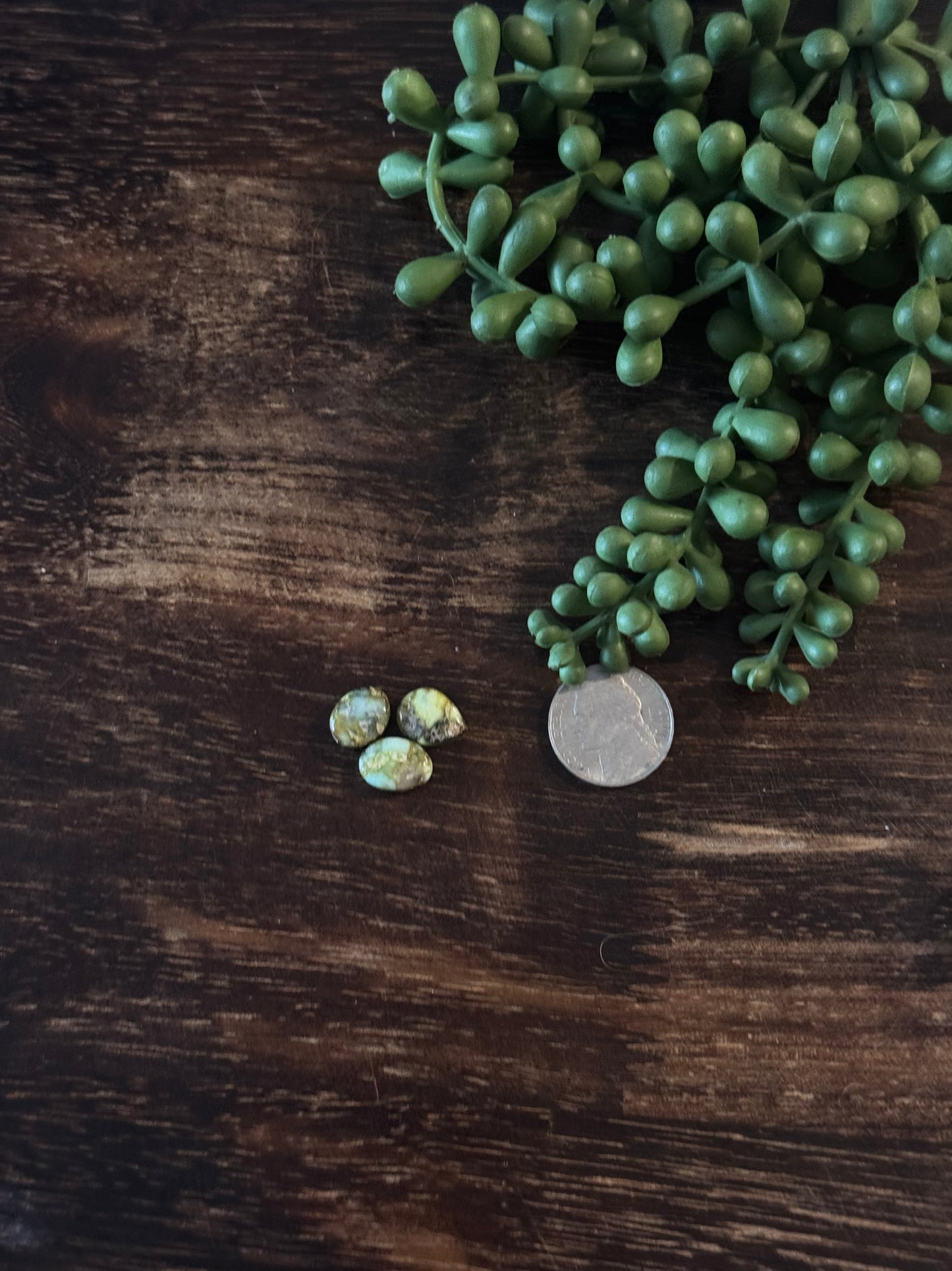 Palomino Variscite Cabs