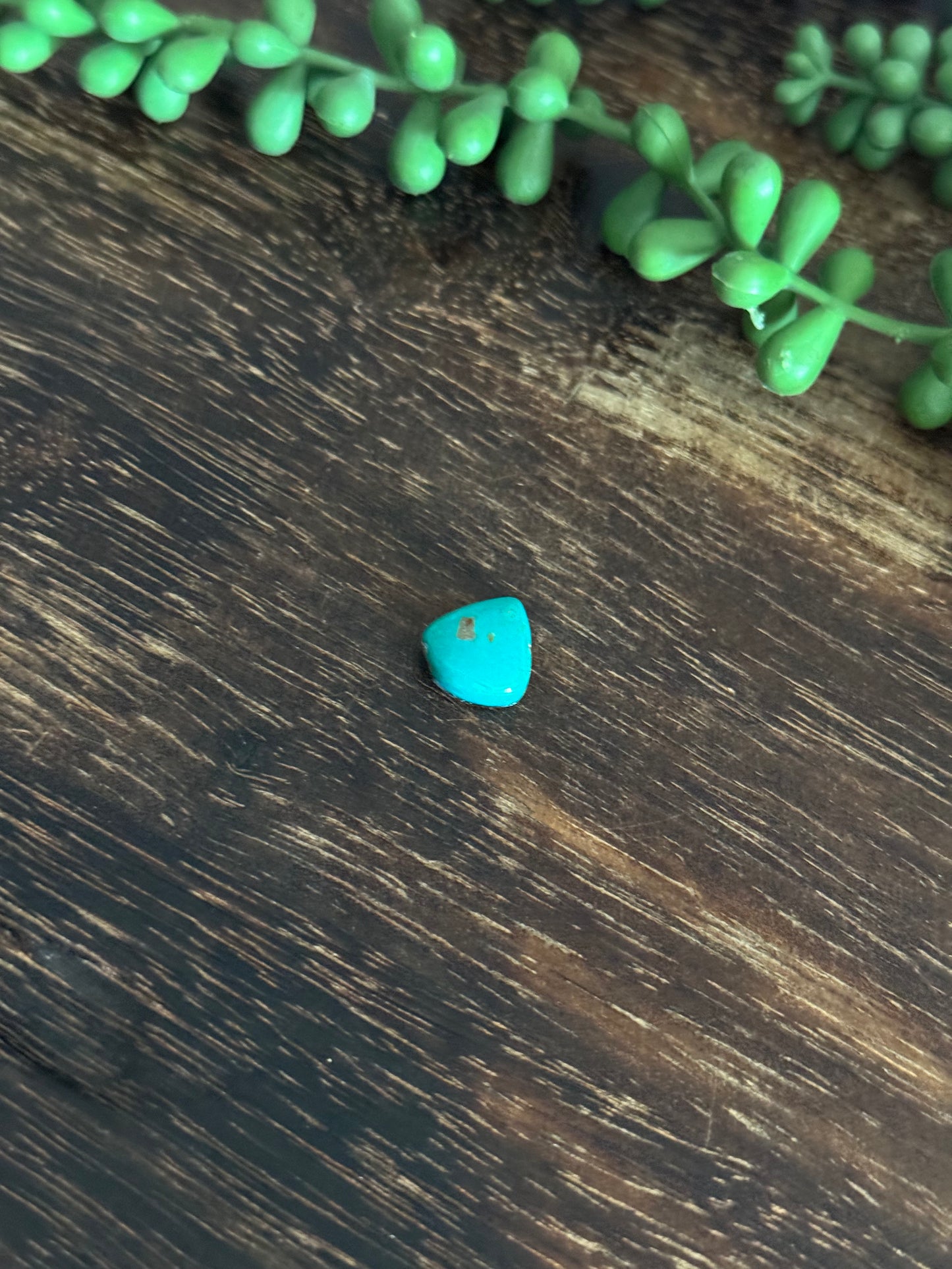 Kingman Turquoise Cab