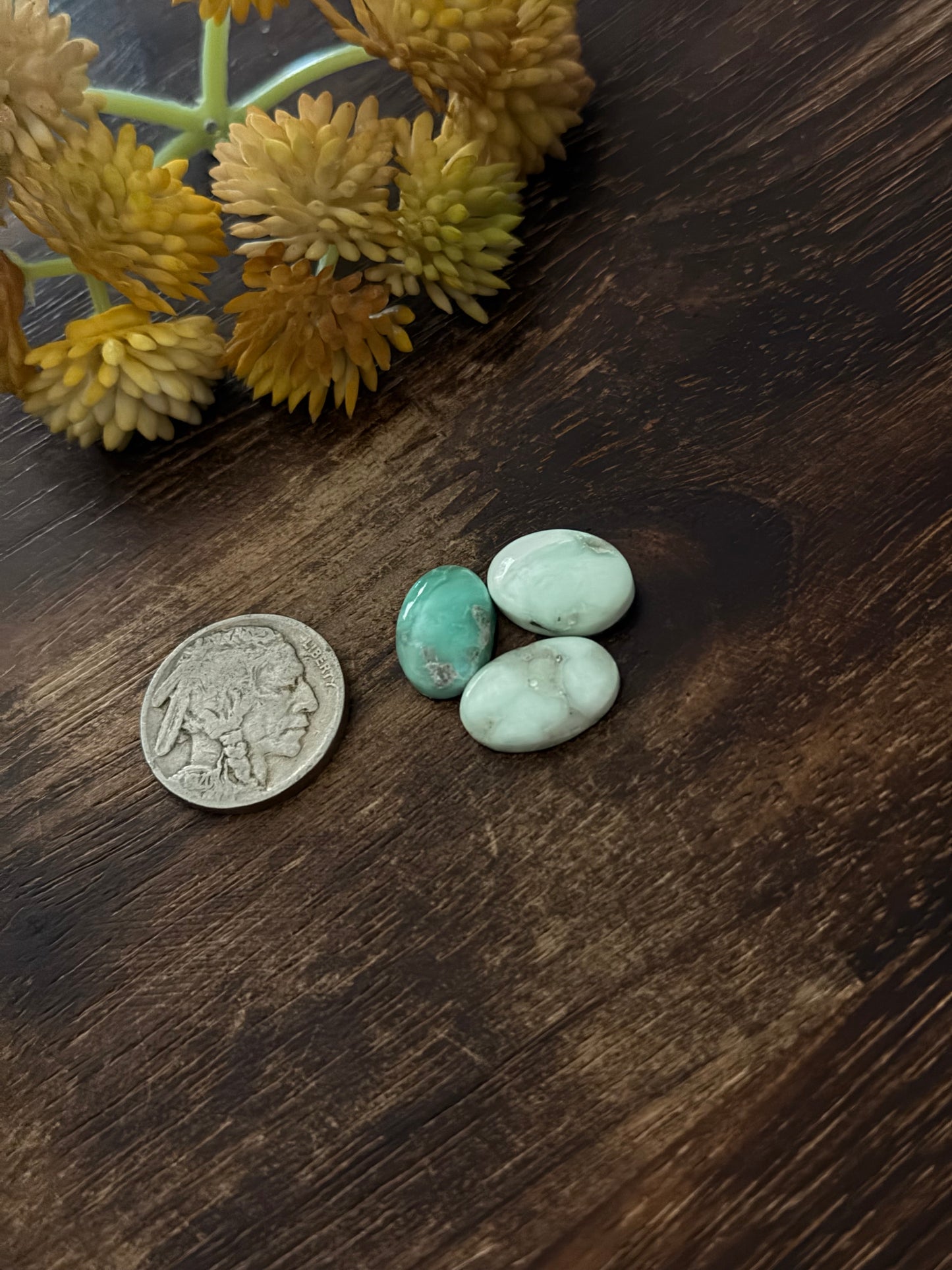 Paloma Variscite Cabs