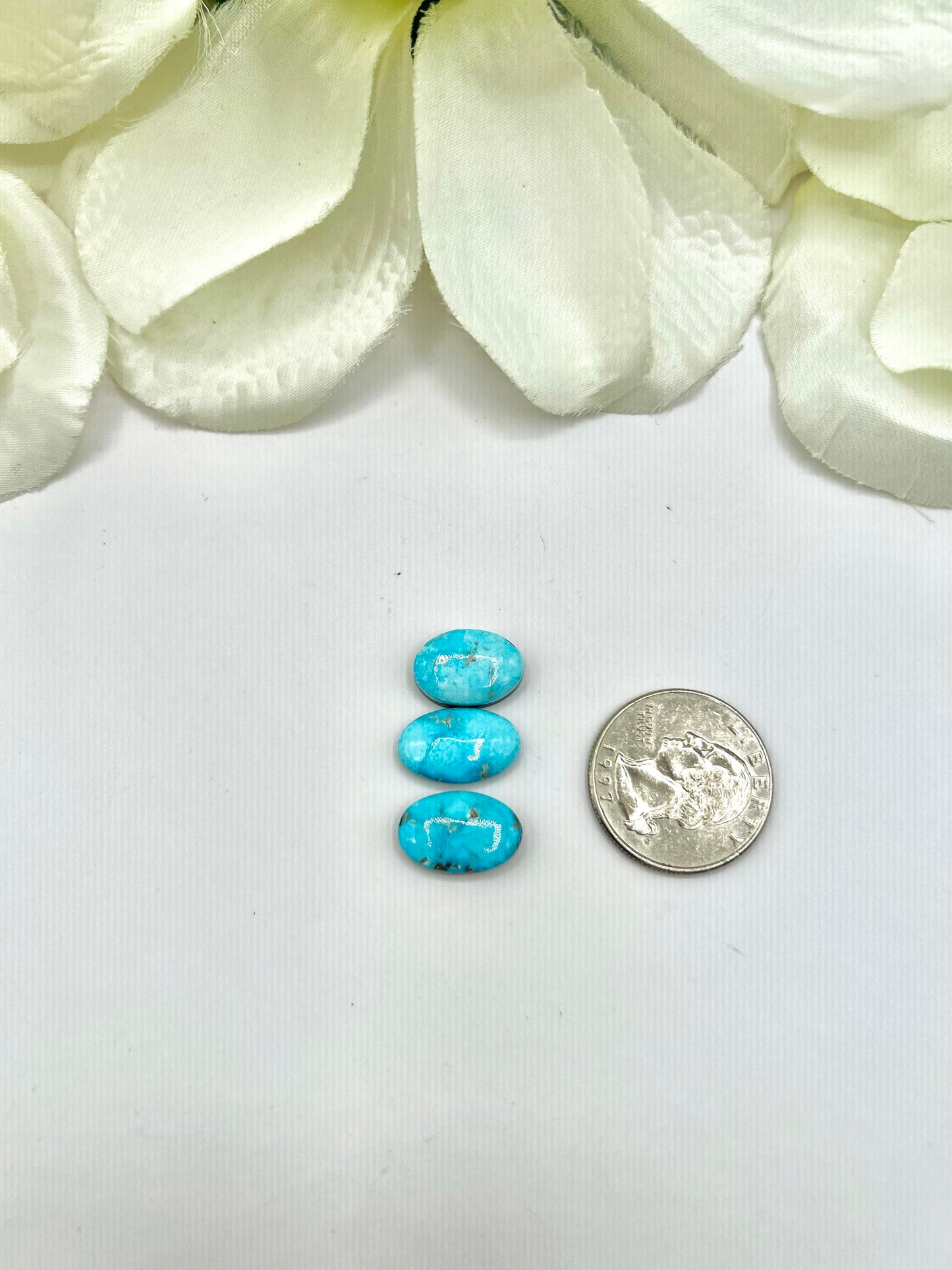 Blue Ridge Turquoise Cabs