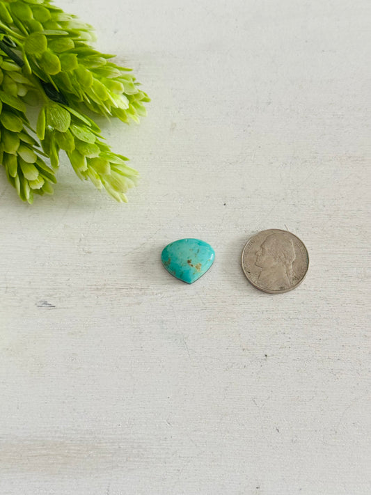 Kingman Turquoise Cab