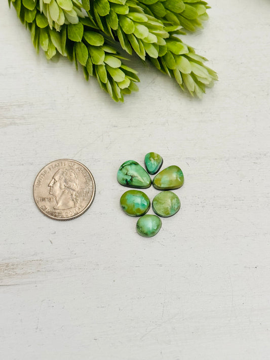 Natural Sonoran Gold Turquoise Cabs