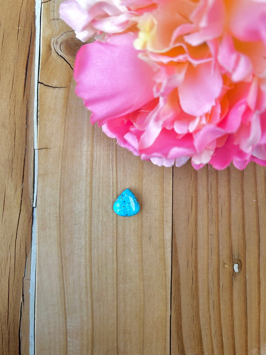 Blue Bird Turquoise Cabs