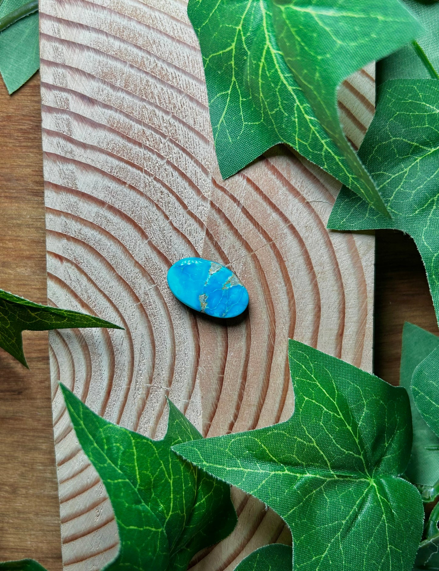 Blue Bird Turquoise Cabs
