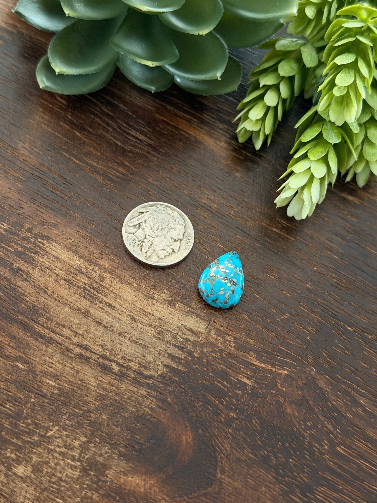 Blue Bird Turquoise Cab