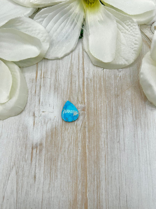 Blue Ridge Turquoise Cab