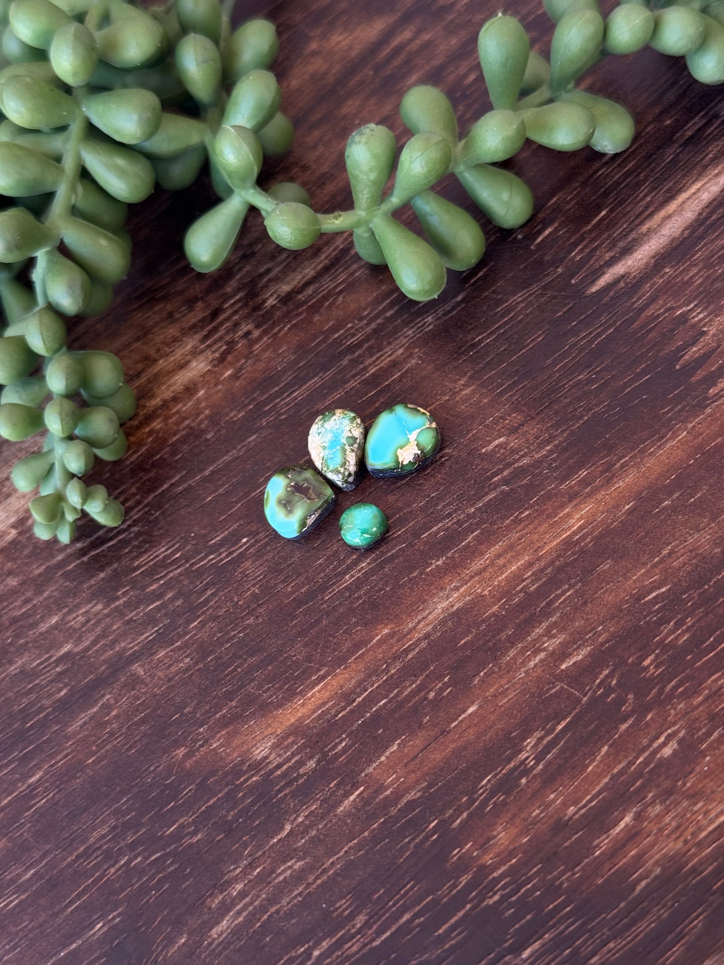 Sonoran Mountain Turquoise Cabs