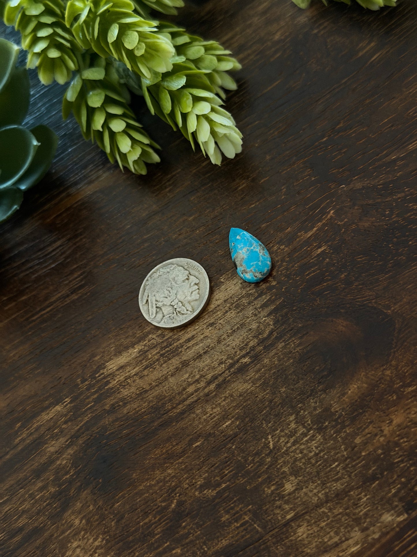 Blue Bird Turquoise Cab