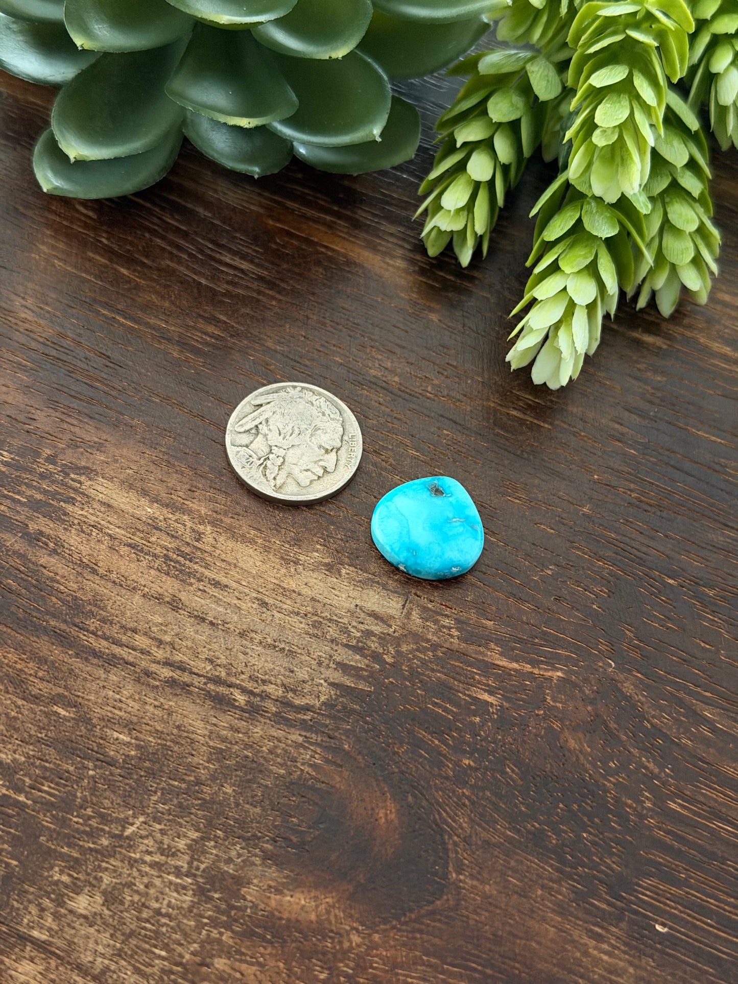 Blue Bird Turquoise Cab