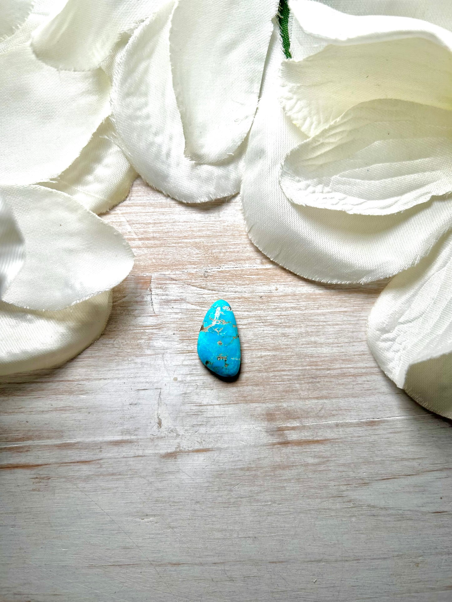 Blue Ridge Turquoise Cab