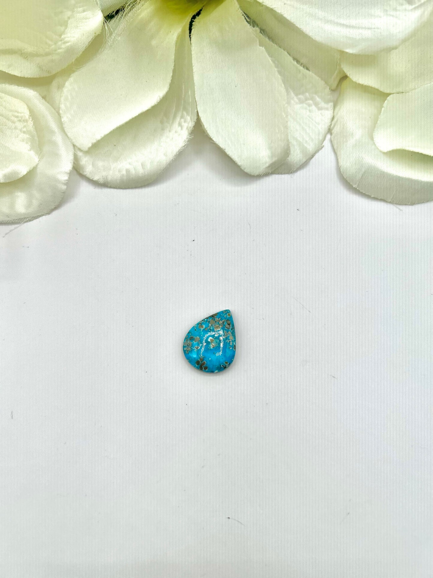 Blue Ridge Turquoise Cabs