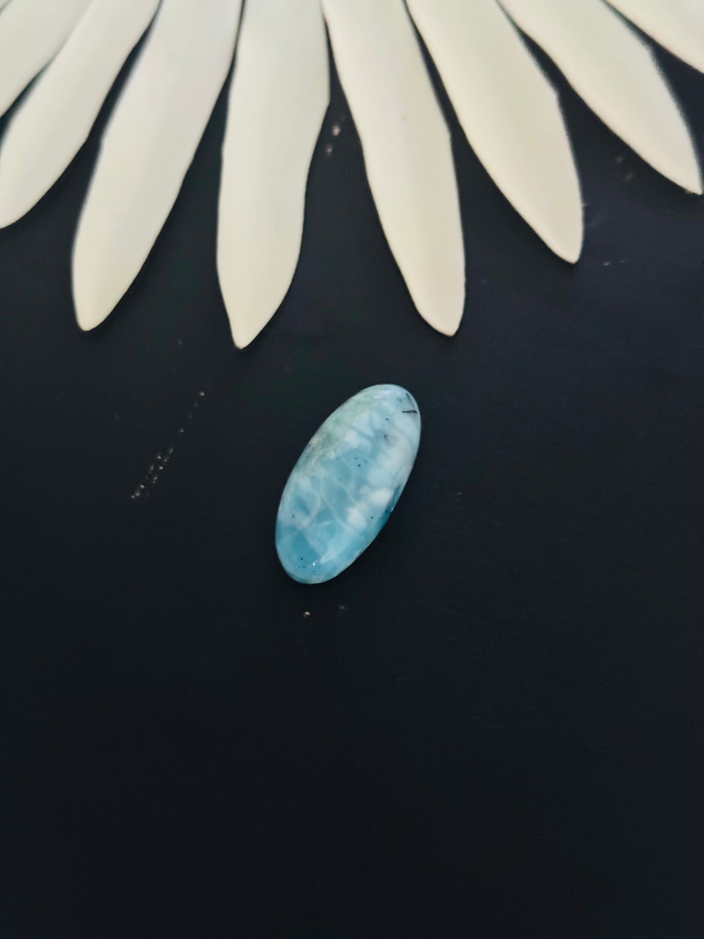 Larimar Cabs