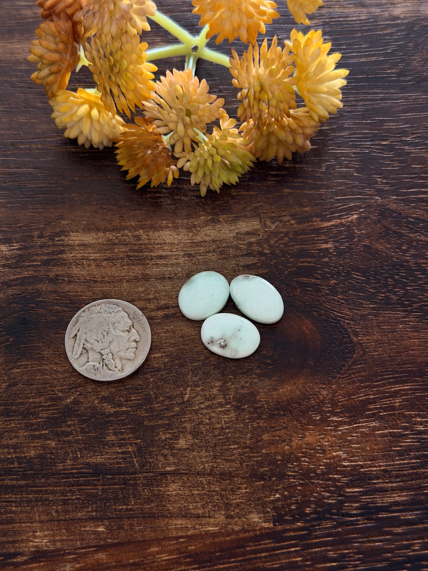Paloma Variscite Cabs