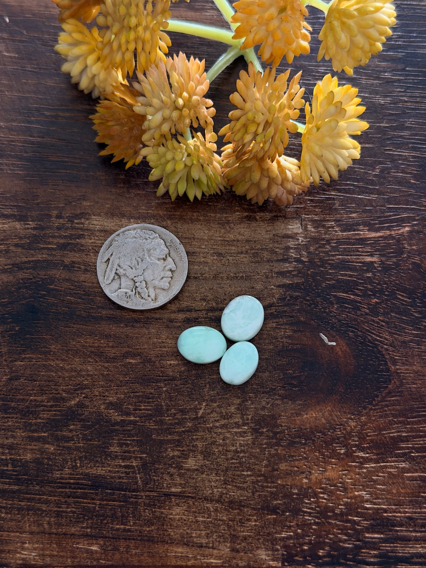 Paloma Variscite Cabs