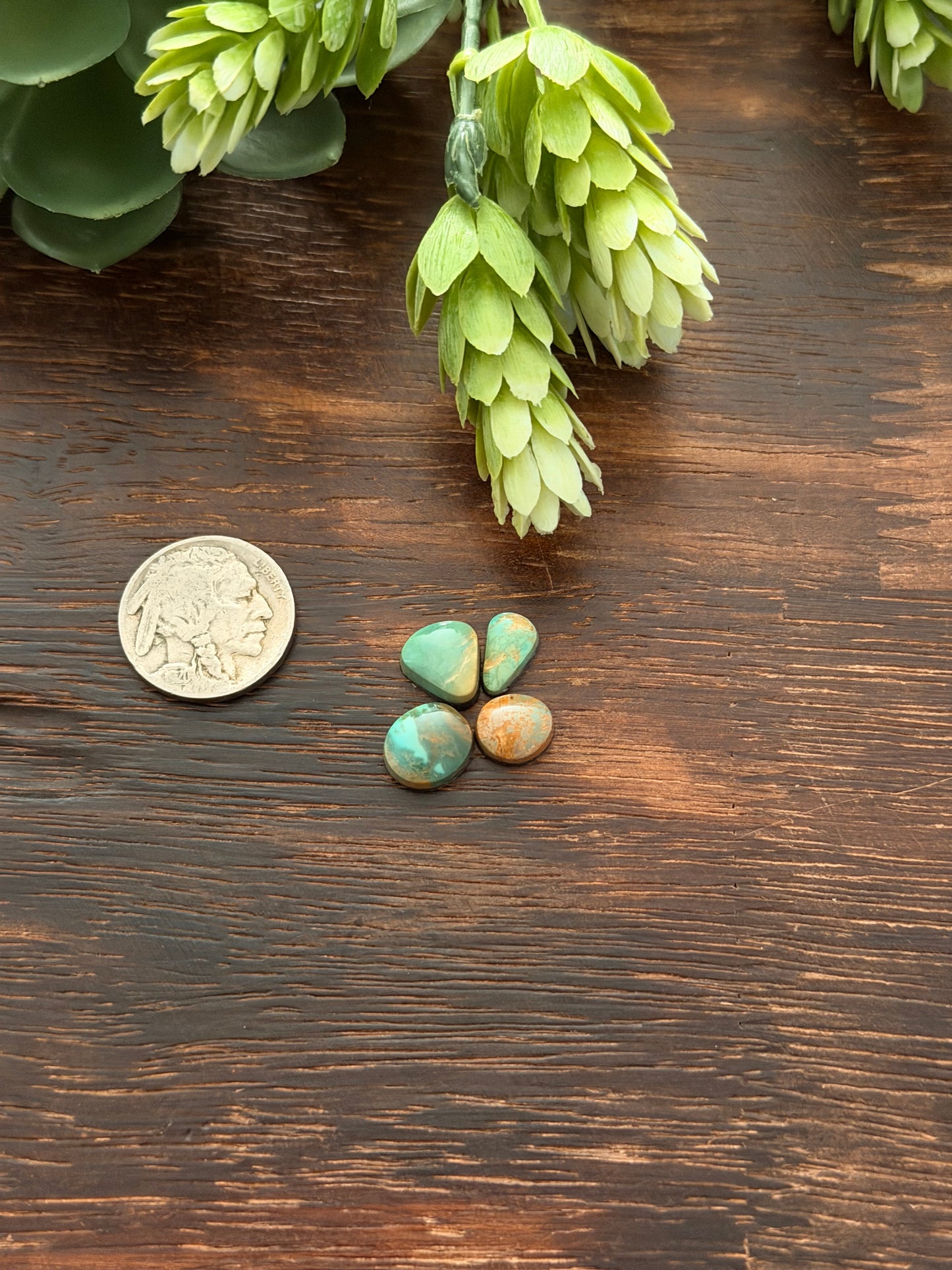 Evans Turquoise Cabs