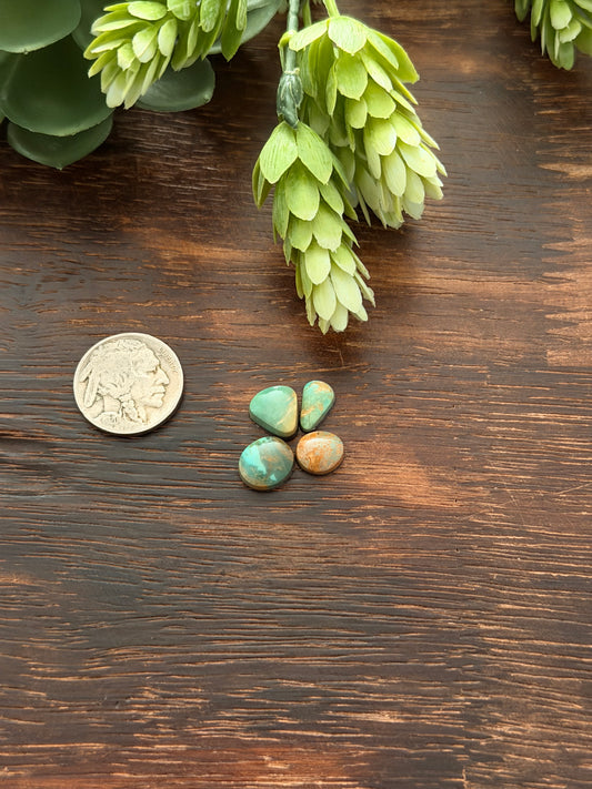 Evans Turquoise Cabs