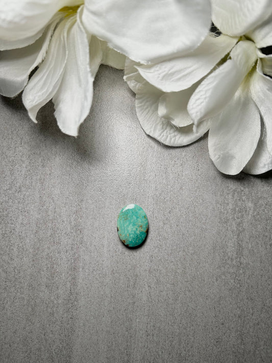 Kingman Turquoise Cab