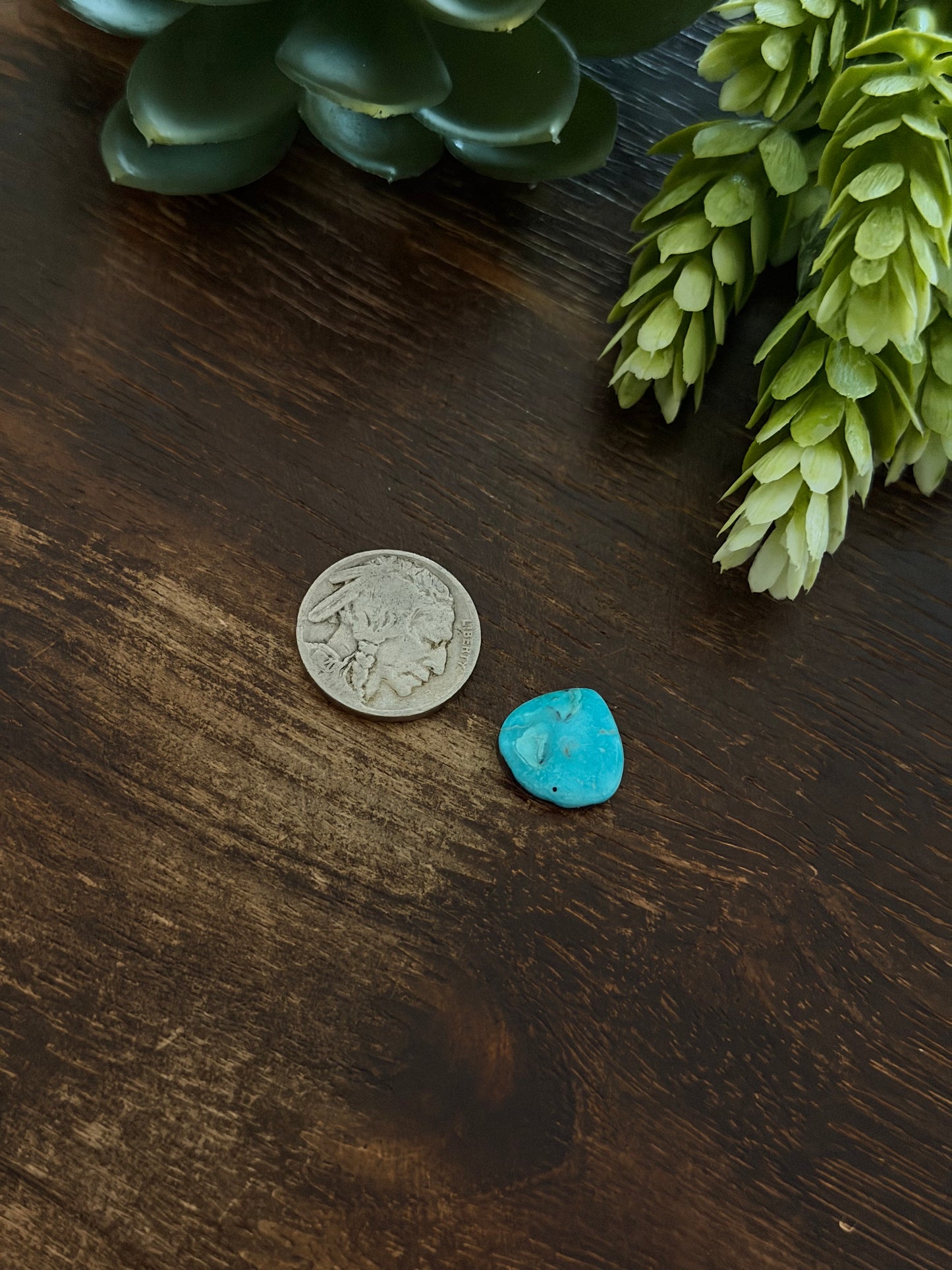 Blue Bird Turquoise Cab