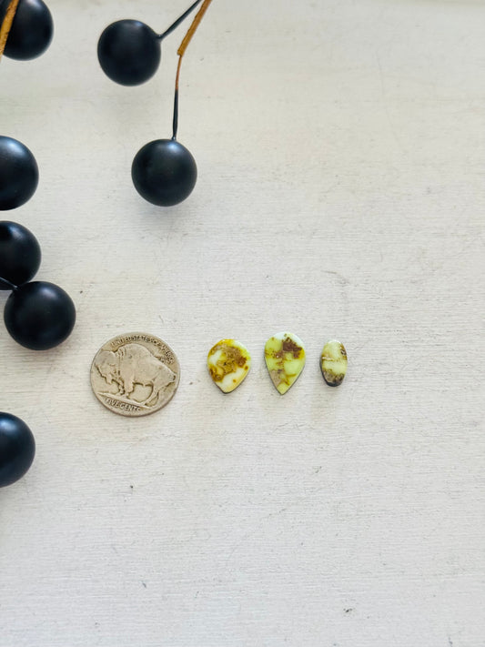 Palomino Variscite Cabs