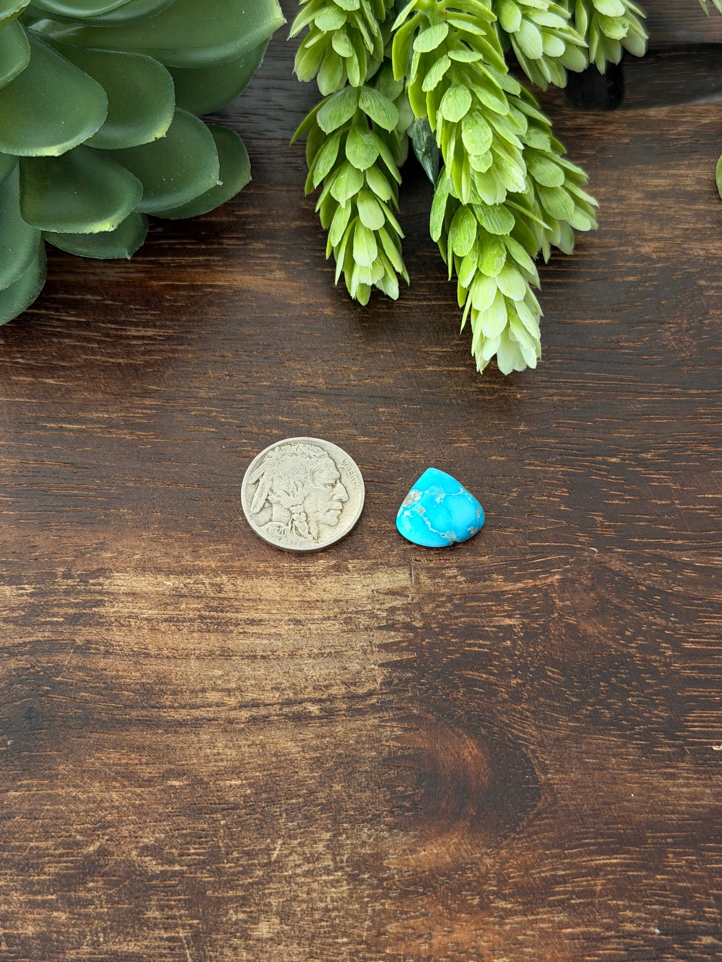 Blue Bird Turquoise Cab