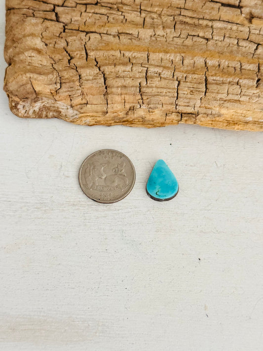 Natural Kings Manassa Turquoise Cab
