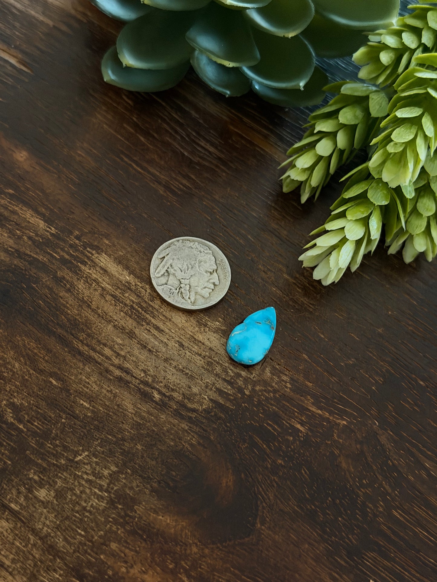 Blue Bird Turquoise Cab