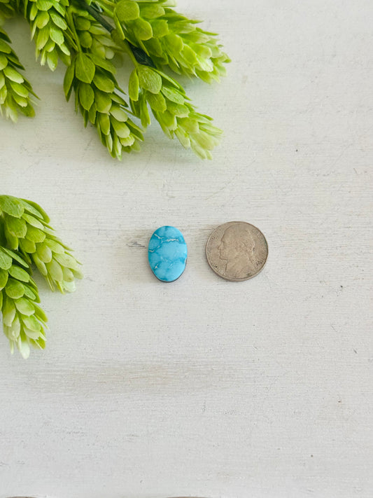 Blue Bird Turquoise Cab