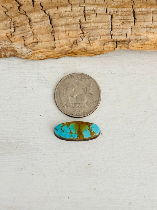 Natural Kings Manassa Turquoise Cab
