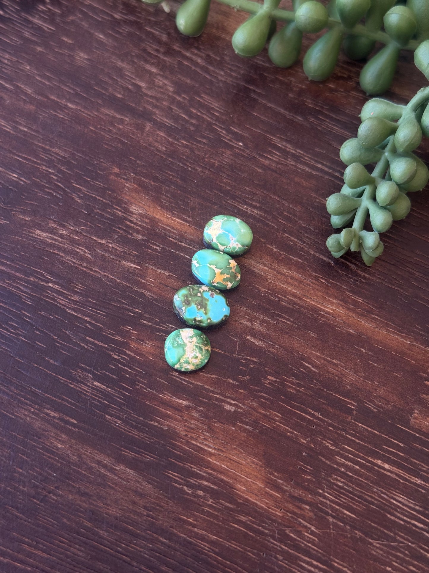 Sonoran Mountain Turquoise Cabs