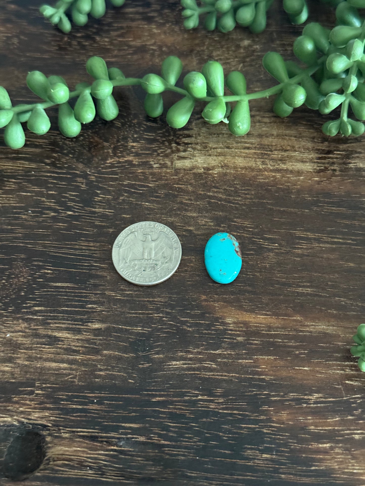 Kingman Turquoise Cab