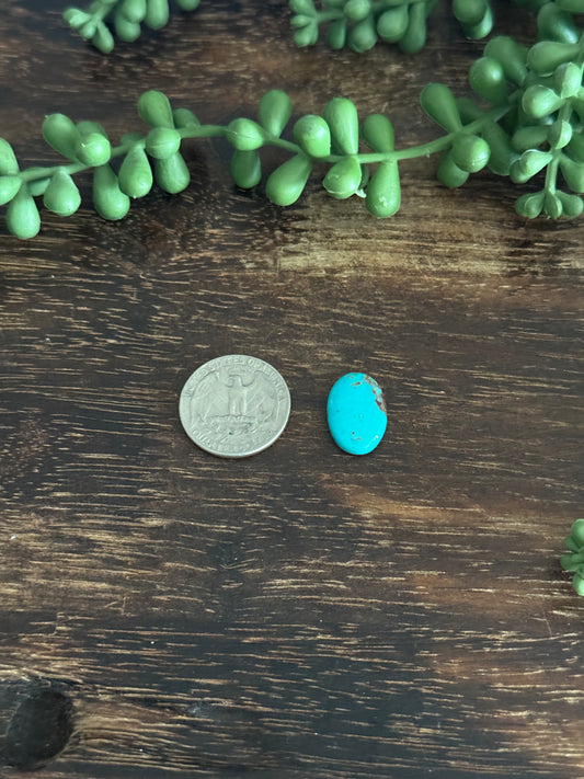 Kingman Turquoise Cab