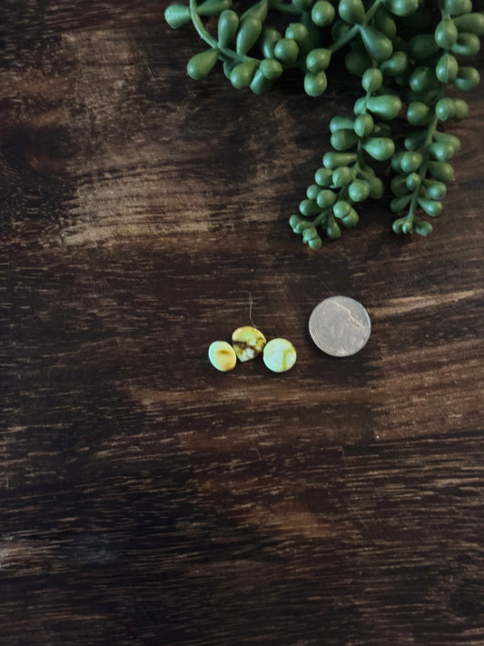 Palomino Variscite Cabs