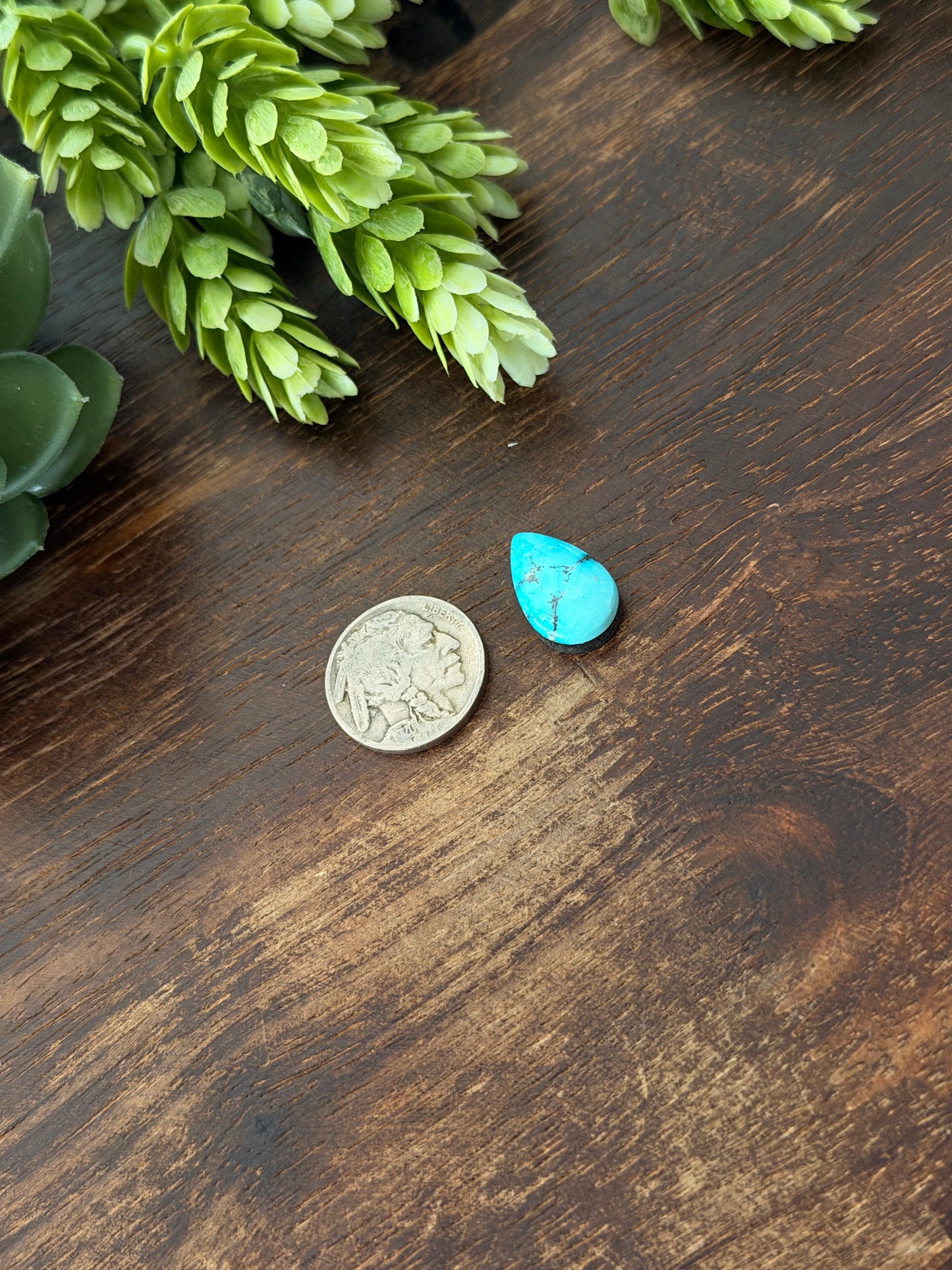 Blue Bird Turquoise Cab