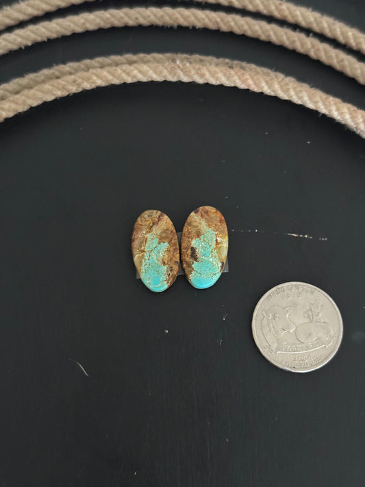 #8 Turquoise Earring Pair Cabs