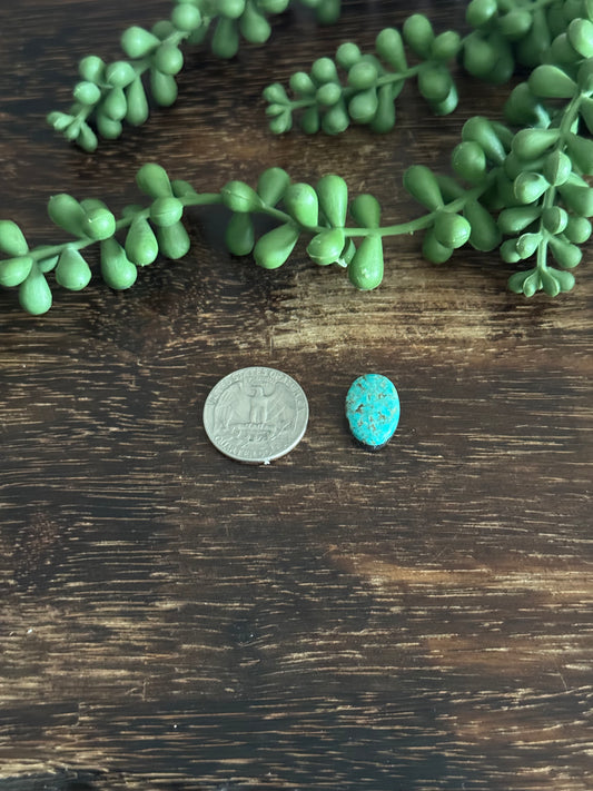 Kingman Turquoise Cab