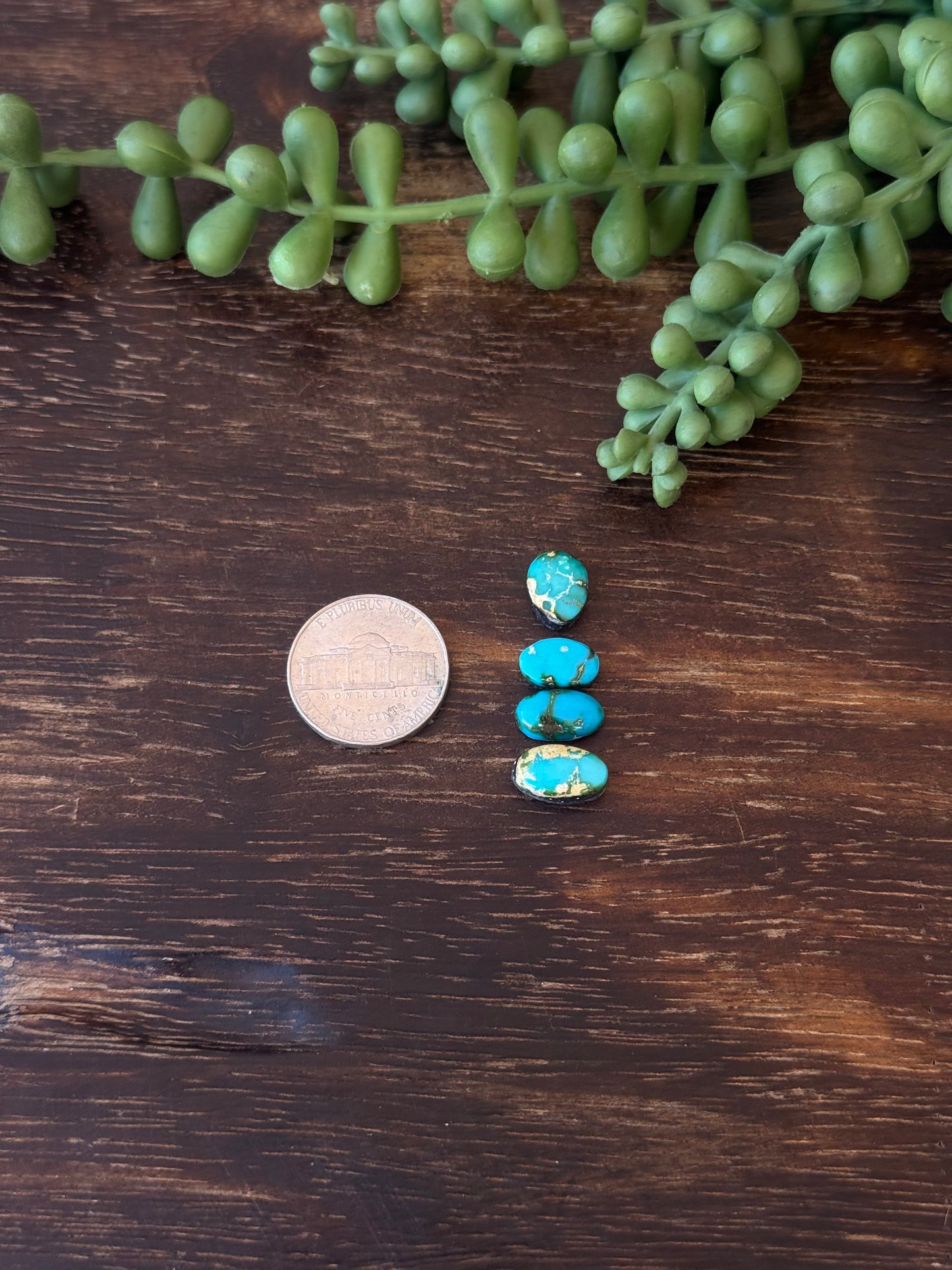 Sonoran Mountain Turquoise Cabs