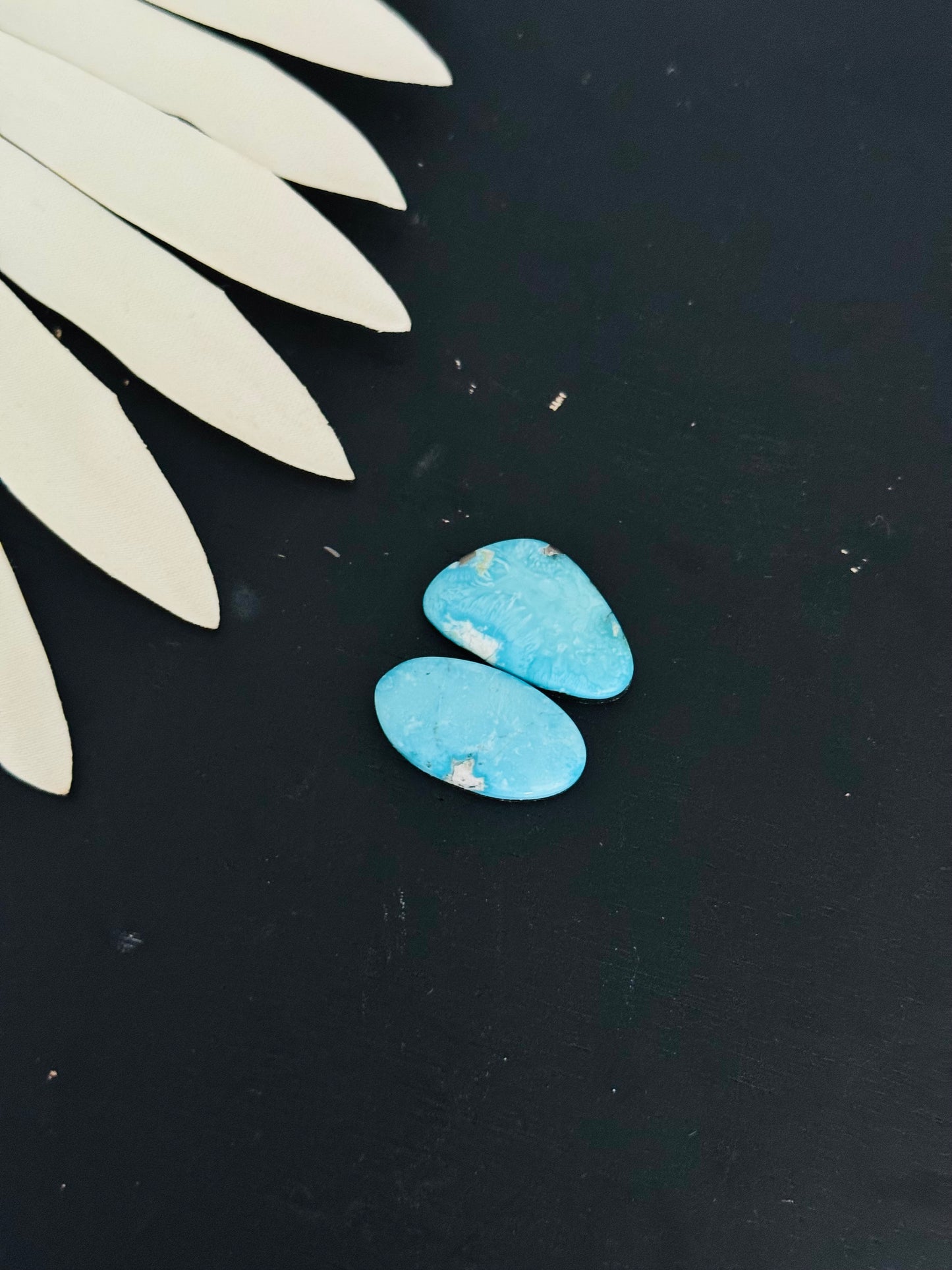 Blue Bird Turquoise Cabs