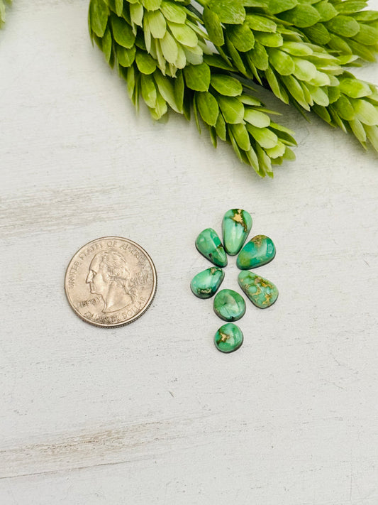 Natural Sonoran Gold Turquoise Cabs