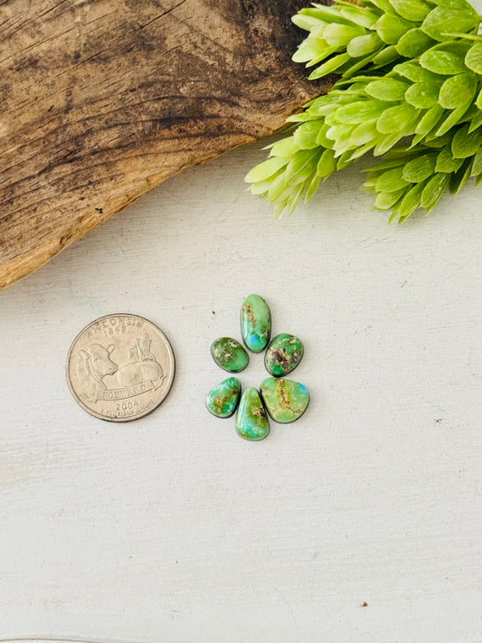 Natural Sonoran Gold Turquoise Cabs