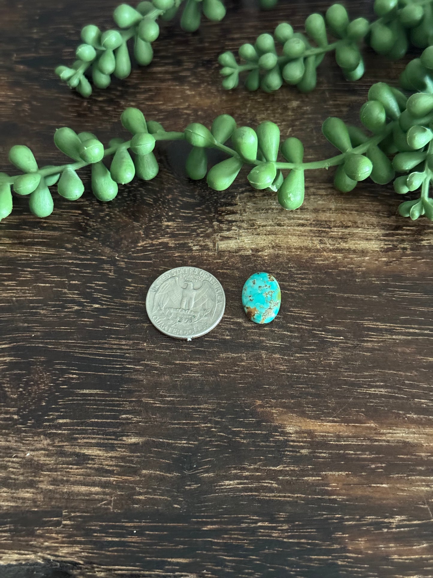 Kingman Turquoise Cab