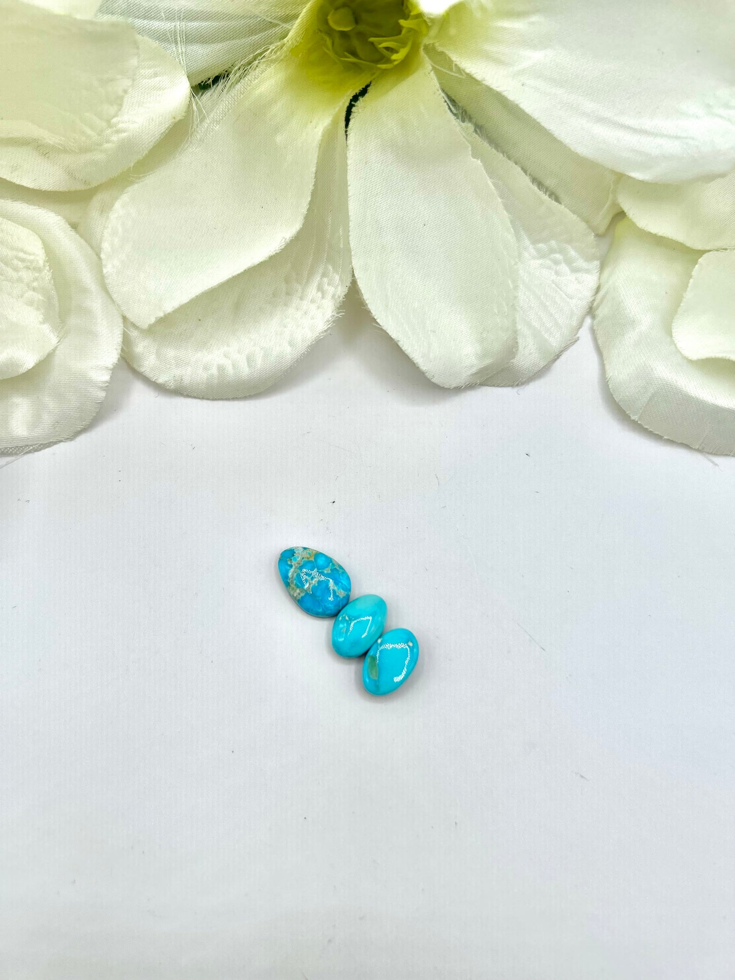 Blue Ridge Turquoise Cabs