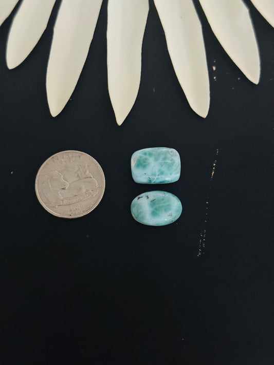 Larimar Cabs
