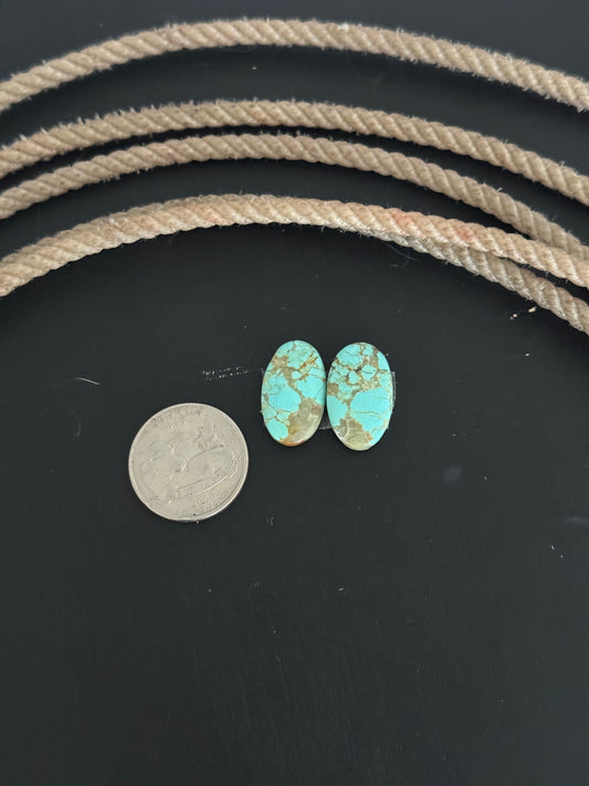#8 Turquoise Earring Pair Cabs