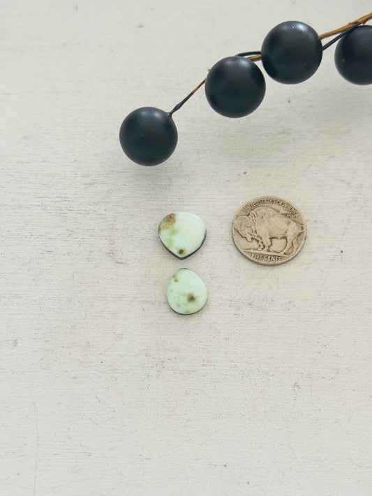 Palomino Variscite Cabs