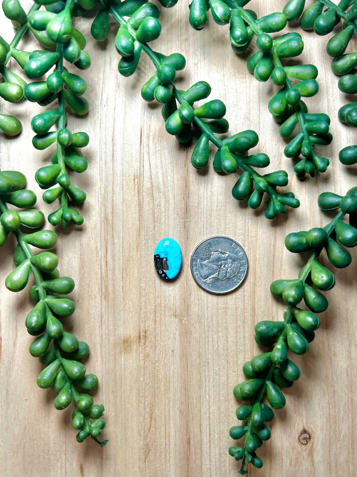 Blue Ridge Turquoise Cab