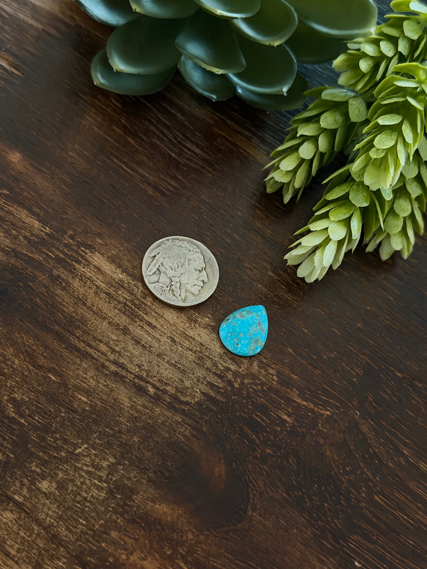 Blue Bird Turquoise Cab