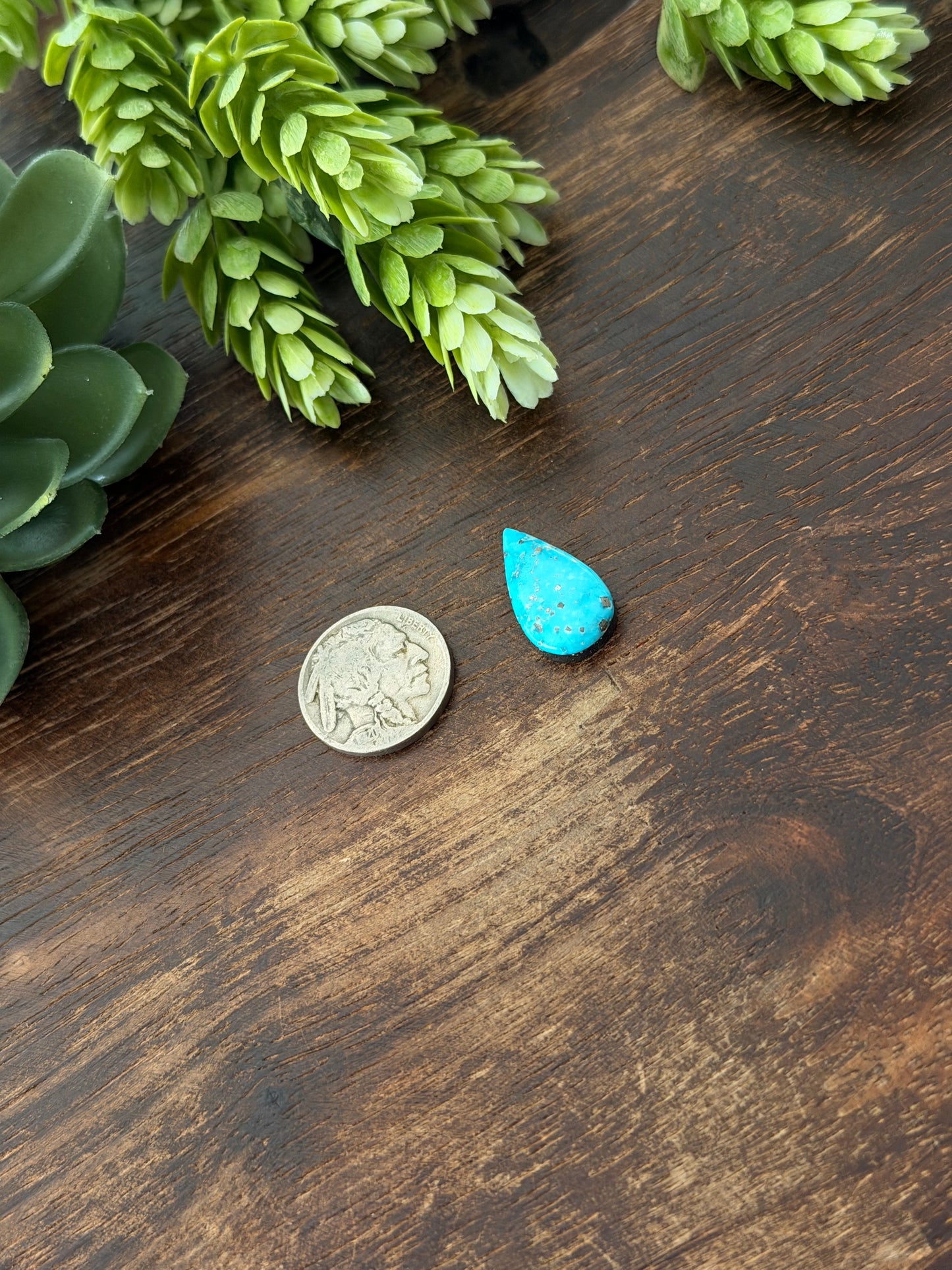 Blue Bird Turquoise Cab